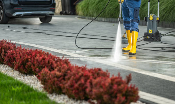 Best Gutter Cleaning  in Anthony, TX